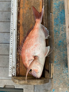 幸吉丸 釣果