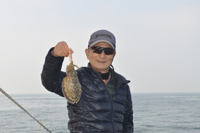 根岸丸 釣果