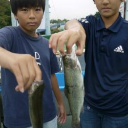 としまえんフィッシングエリア 釣果