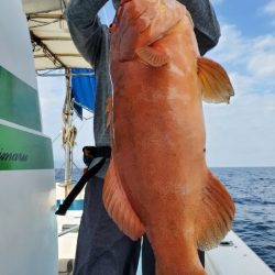 海晴丸 釣果