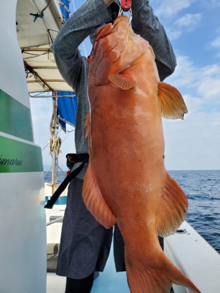 海晴丸 釣果