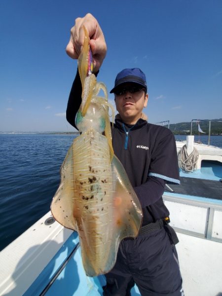 海晴丸 釣果