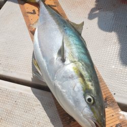 釣人家 釣果