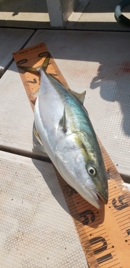 釣人家 釣果