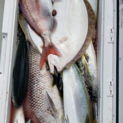 海龍丸（石川） 釣果