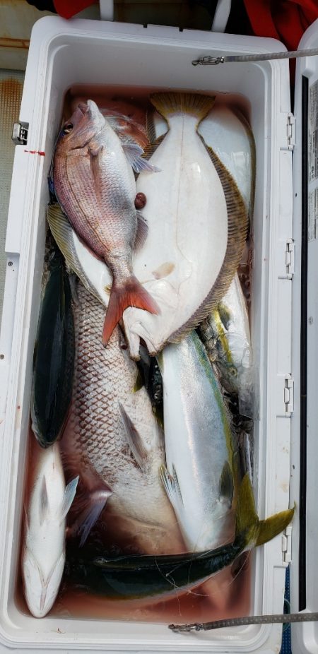 海龍丸（石川） 釣果