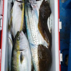 海龍丸（石川） 釣果