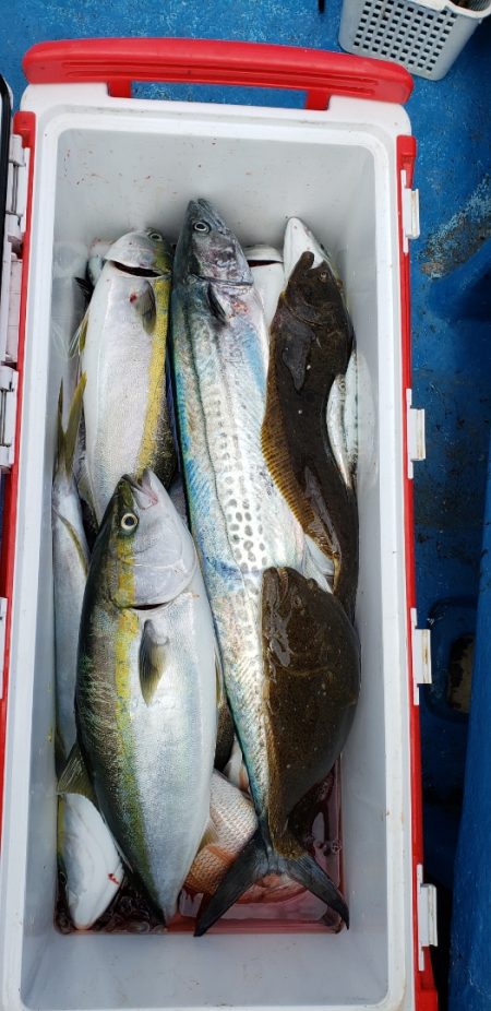 海龍丸（石川） 釣果