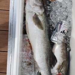 海龍丸（石川） 釣果