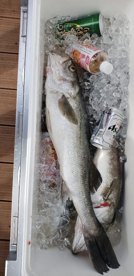 海龍丸（石川） 釣果