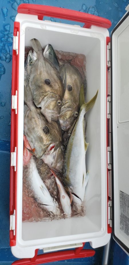 海龍丸（石川） 釣果