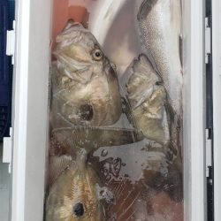 海龍丸（石川） 釣果