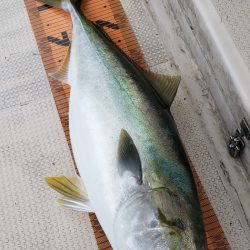 釣人家 釣果