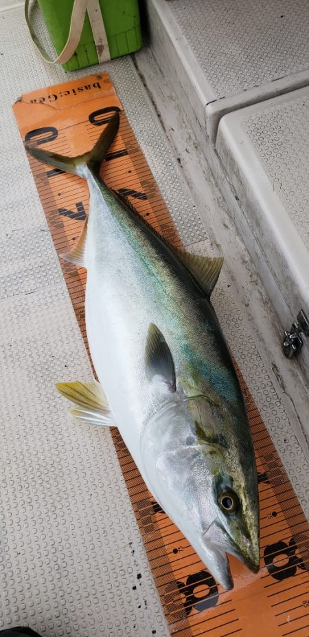 釣人家 釣果