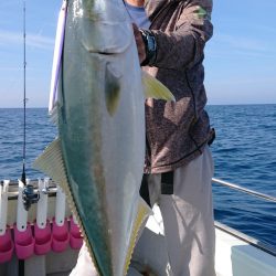 鷹王丸 釣果