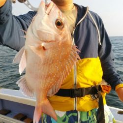 新幸丸 釣果