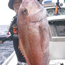 だて丸 釣果