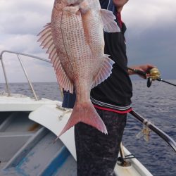 だて丸 釣果