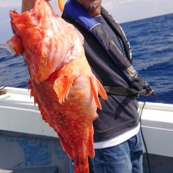 だて丸 釣果