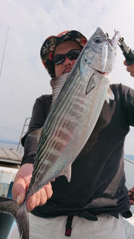 シースナイパー海龍 釣果