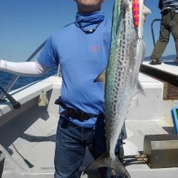 釣人家 釣果