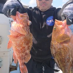 宝生丸 釣果