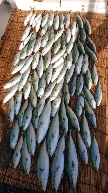 釣人家 釣果