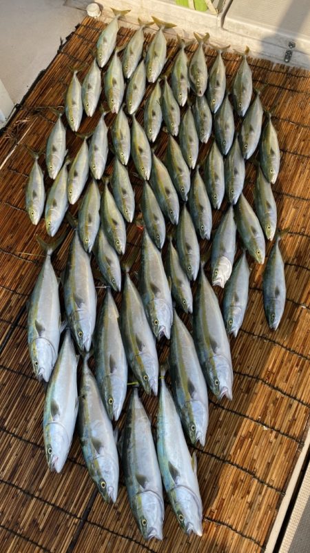 釣人家 釣果