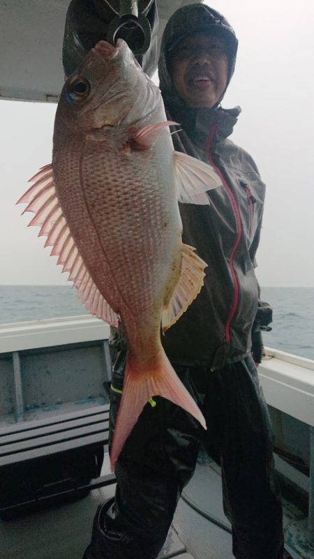 だて丸 釣果