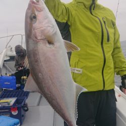 だて丸 釣果