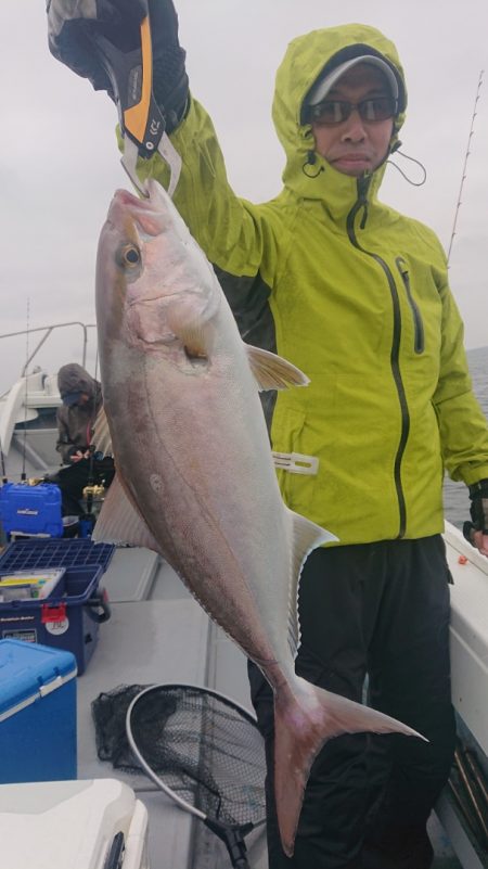 だて丸 釣果