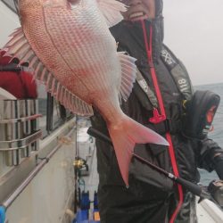 だて丸 釣果