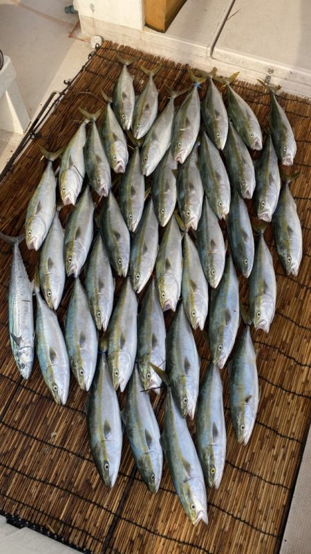 釣人家 釣果