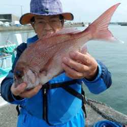 富士丸 釣果