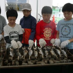 としまえんフィッシングエリア 釣果