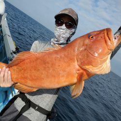 海晴丸 釣果