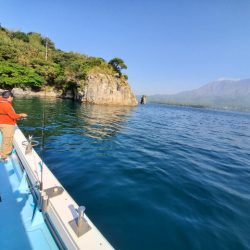 海晴丸 釣果