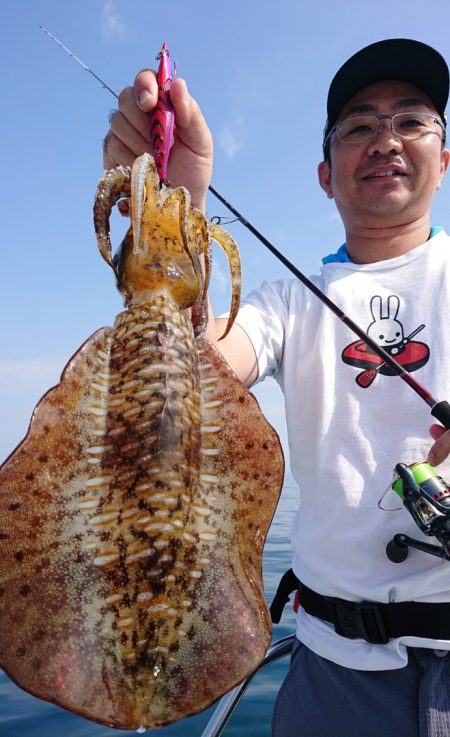 シースナイパー海龍 釣果