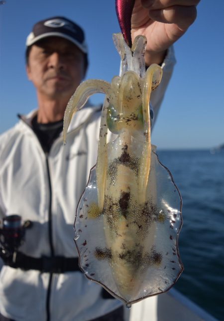 渡船屋たにぐち 釣果