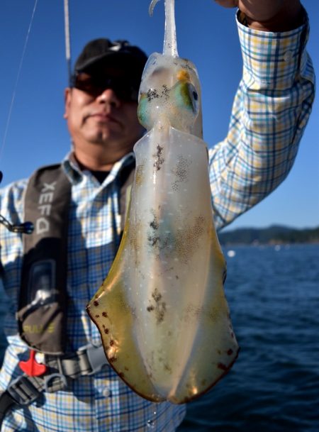 渡船屋たにぐち 釣果