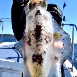 渡船屋たにぐち 釣果