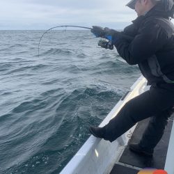 幕島丸 釣果