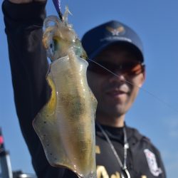 渡船屋たにぐち 釣果