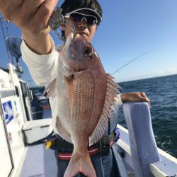 新幸丸 釣果