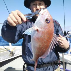 光生丸 釣果