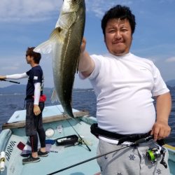 アマテラス 釣果