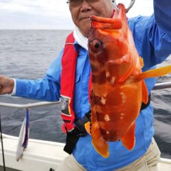 光生丸 釣果