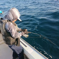 鷹王丸 釣果