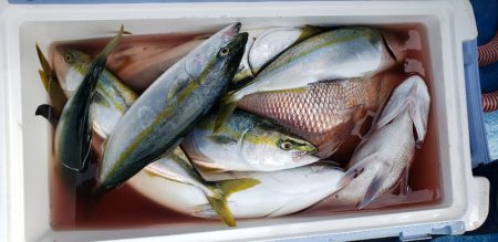 海龍丸（石川） 釣果