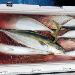 海龍丸（石川） 釣果